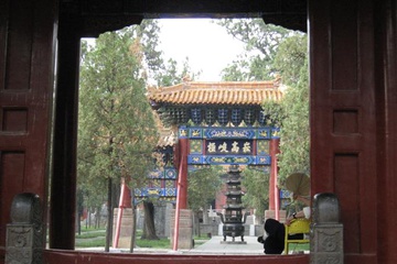 img_7153_small.jpg