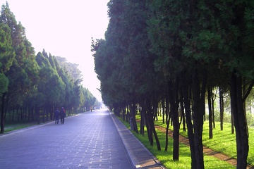 PICT0104.JPG