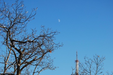 DSC_0128_1.jpg