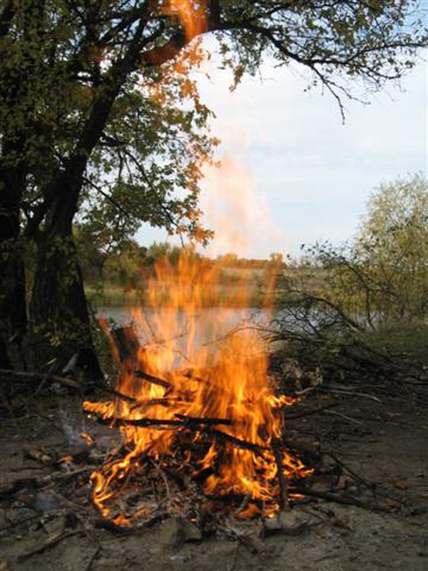 izobrazhenie_108_small.jpg