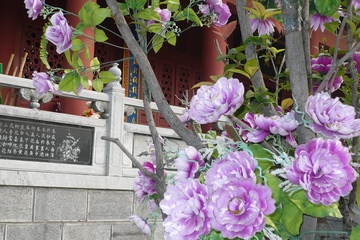 P1000648_1.jpg