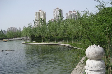 12.JPG