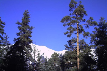 PICT0235.JPG