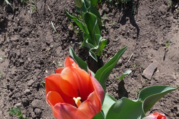 P1010933.JPG