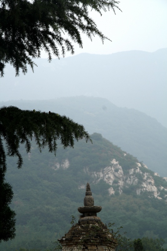 Лес, Пагода