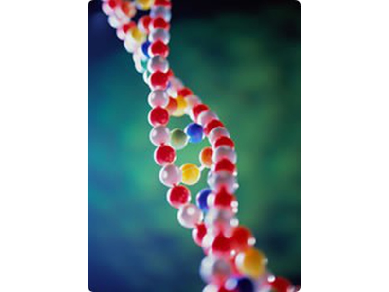 Семинар "Исцеление ДНК. Перенастройка своего генетического кода для здоровой и успешной жизни"