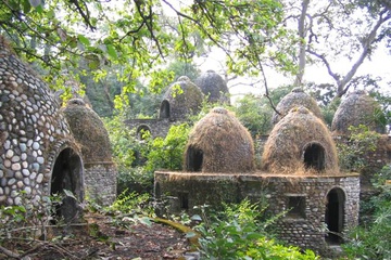 maharishi_1_small.jpg