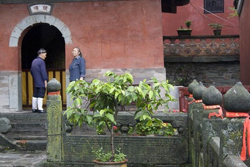 IMG_3950.jpg