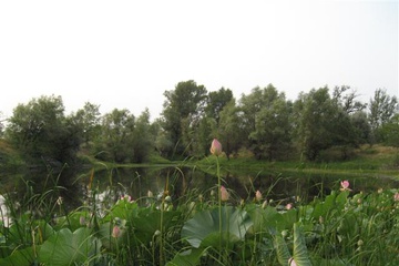 izobrazhenie_016_small.jpg