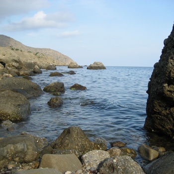 Меганом 2009.