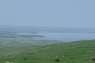 P1020009.JPG