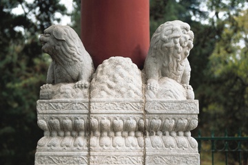 column.jpg