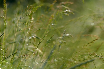 P1110400.JPG