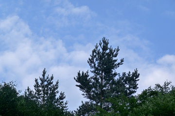 P1040104.JPG