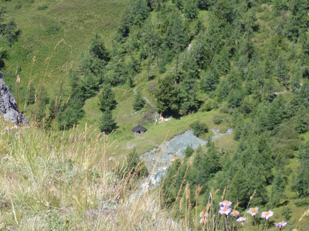 DSC00188.jpg