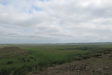IMG_0385.jpg