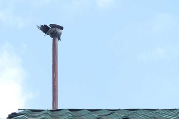P1050844.jpg