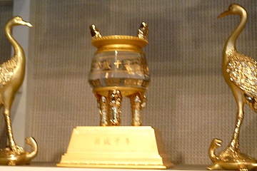 P1000956.JPG
