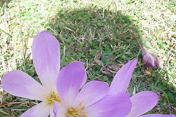 P1040787.JPG