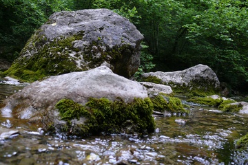 P1110454.JPG