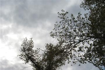 izobrazhenie_046_small.jpg