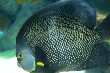 P1000433.JPG