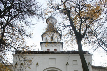 IMG_0333__1.JPG