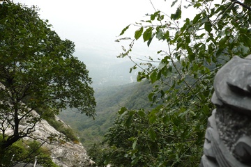 P1000179_1.jpg