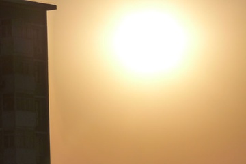 P1000631.jpg