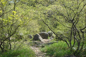 DSC06417.JPG