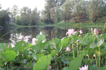 izobrazhenie_054_small.jpg