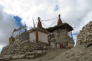 IMG_1113.jpg