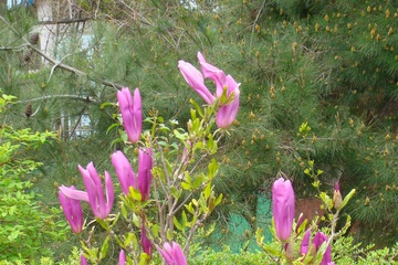 DSC03211.JPG