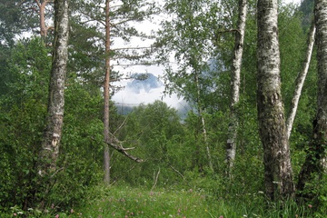 IMG_0190.jpg