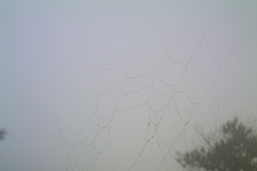 PICT0046.JPG