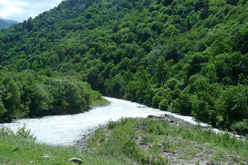 P1020345.JPG