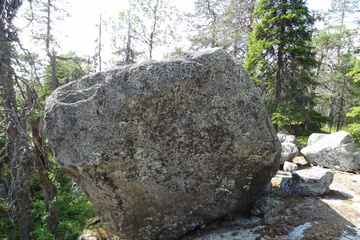 Живой камень на капище 