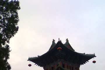 05092007399.jpg