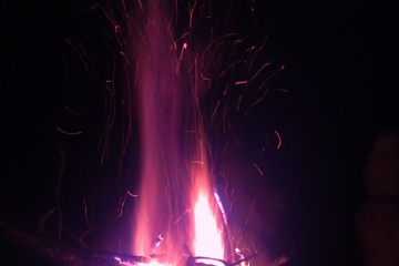 PICT0260.JPG