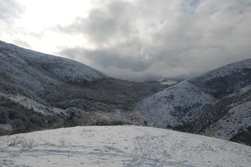 DSC_0593-1.JPG