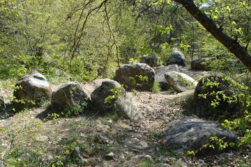 DSC06432.JPG
