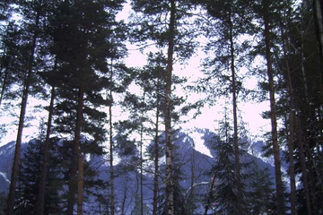PICT0185.JPG