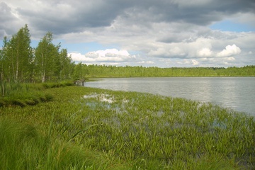 s6003341.jpg