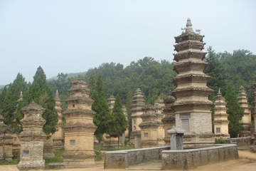 dsc06524.jpg