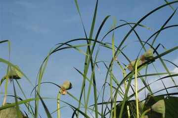 izobrazhenie_117_small.jpg