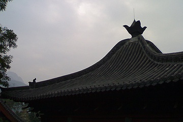 05092007438.jpg