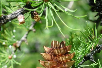 DSCN2104.jpg