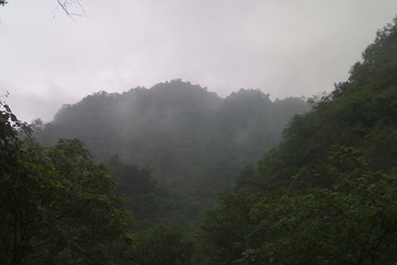 28082007242.jpg