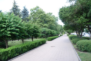 P1060149.jpg