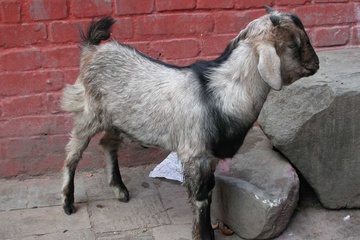 DSCN5186.JPG